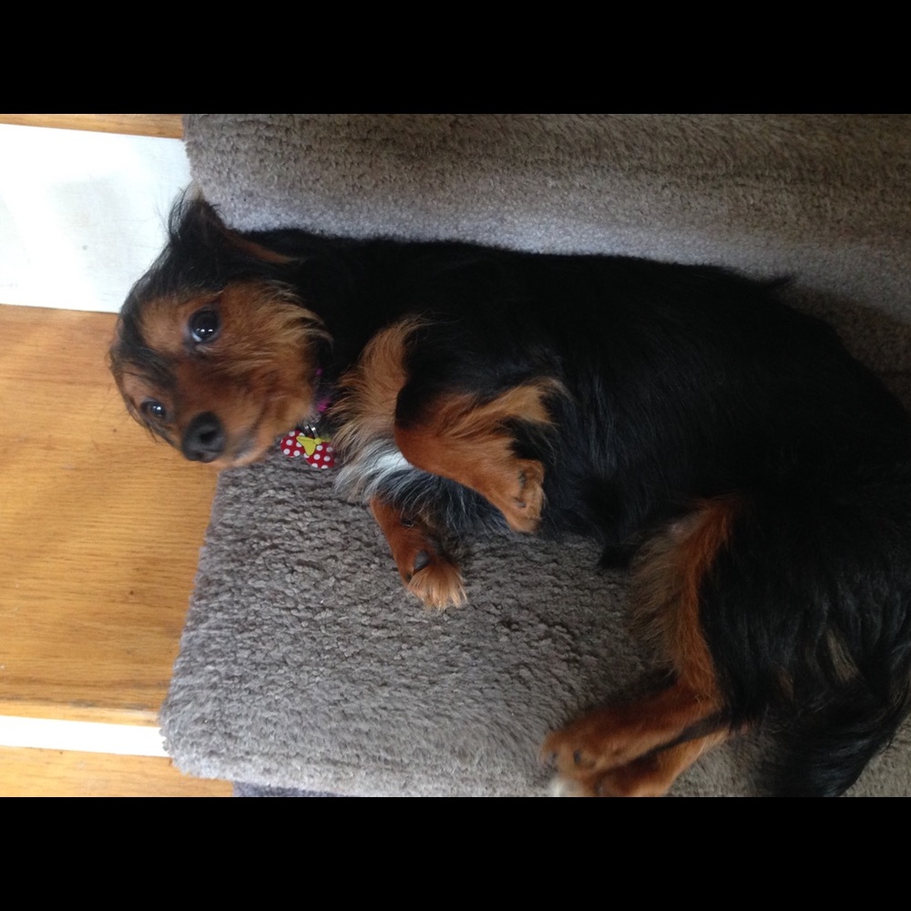 Meet your Posher, Ally